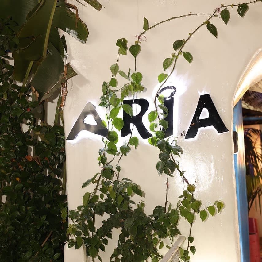 Aria